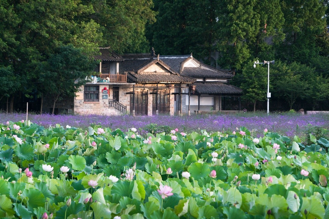 信阳郝堂 中原小江南