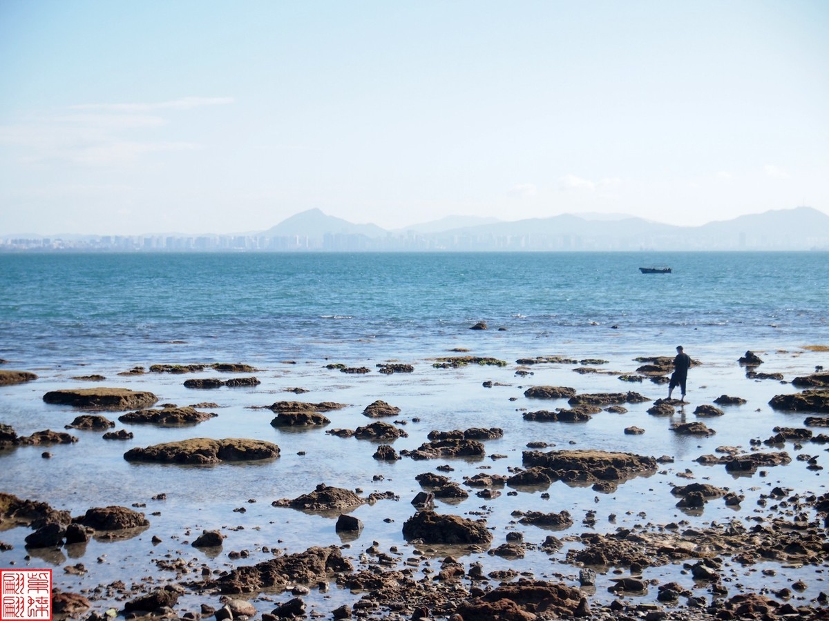 西沙群岛的美景 赶海图片