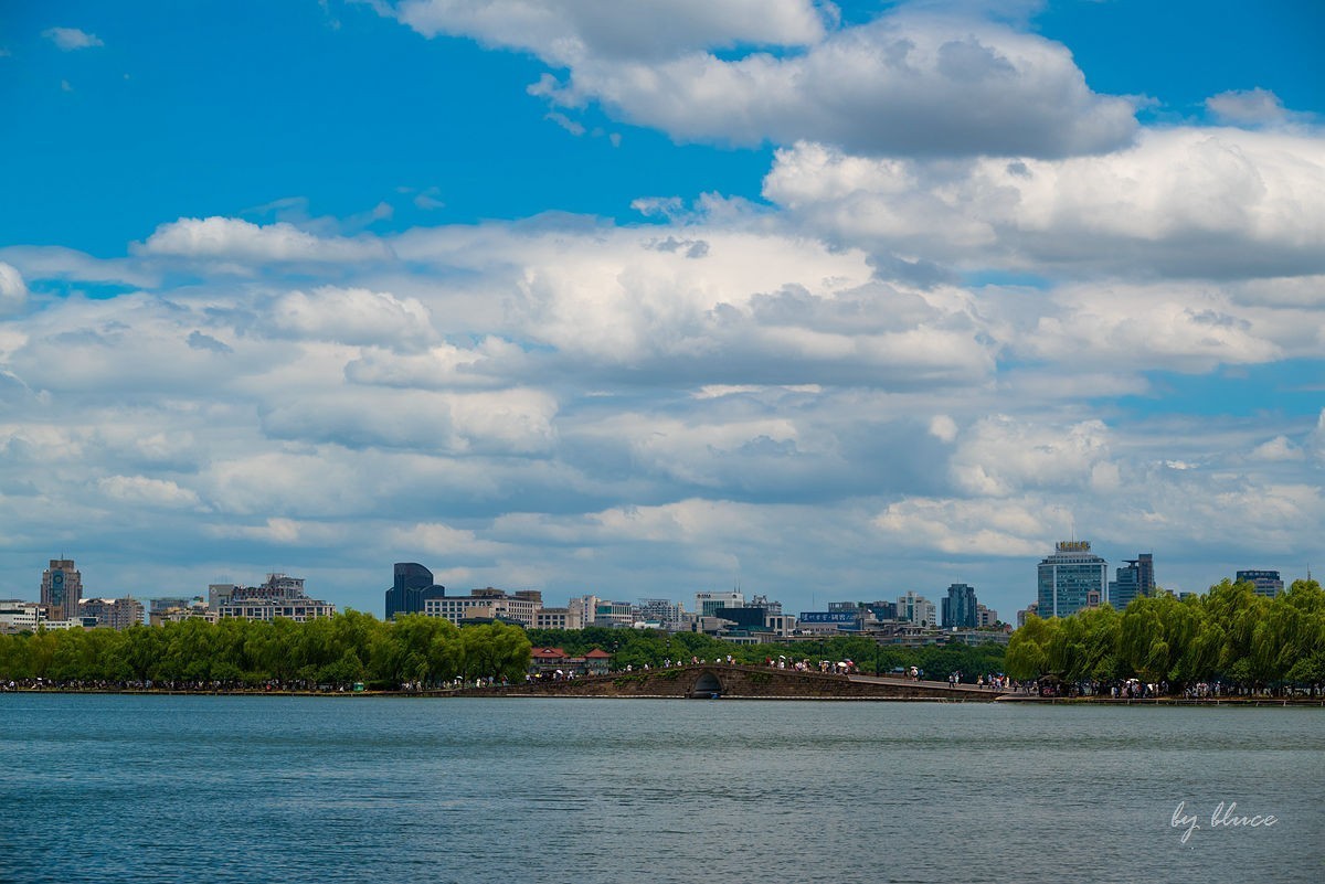 西湖荷花开（13）