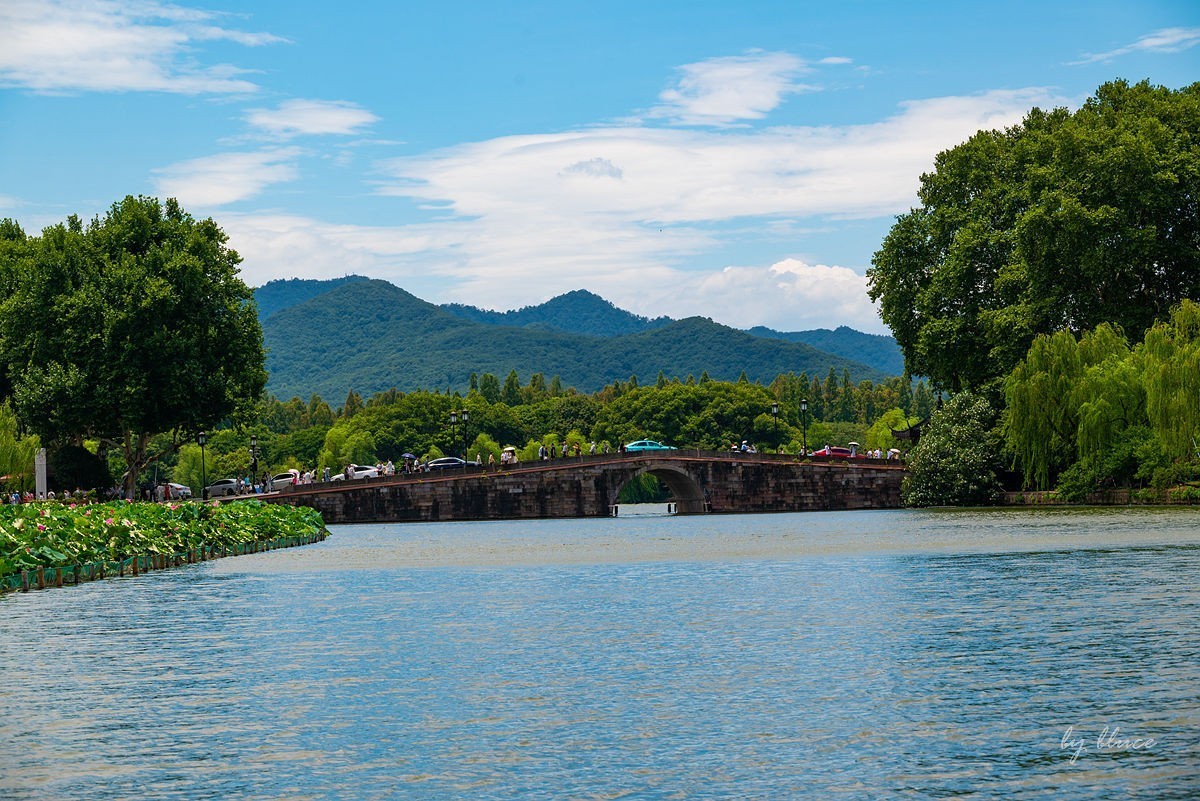 西湖荷花开（13）