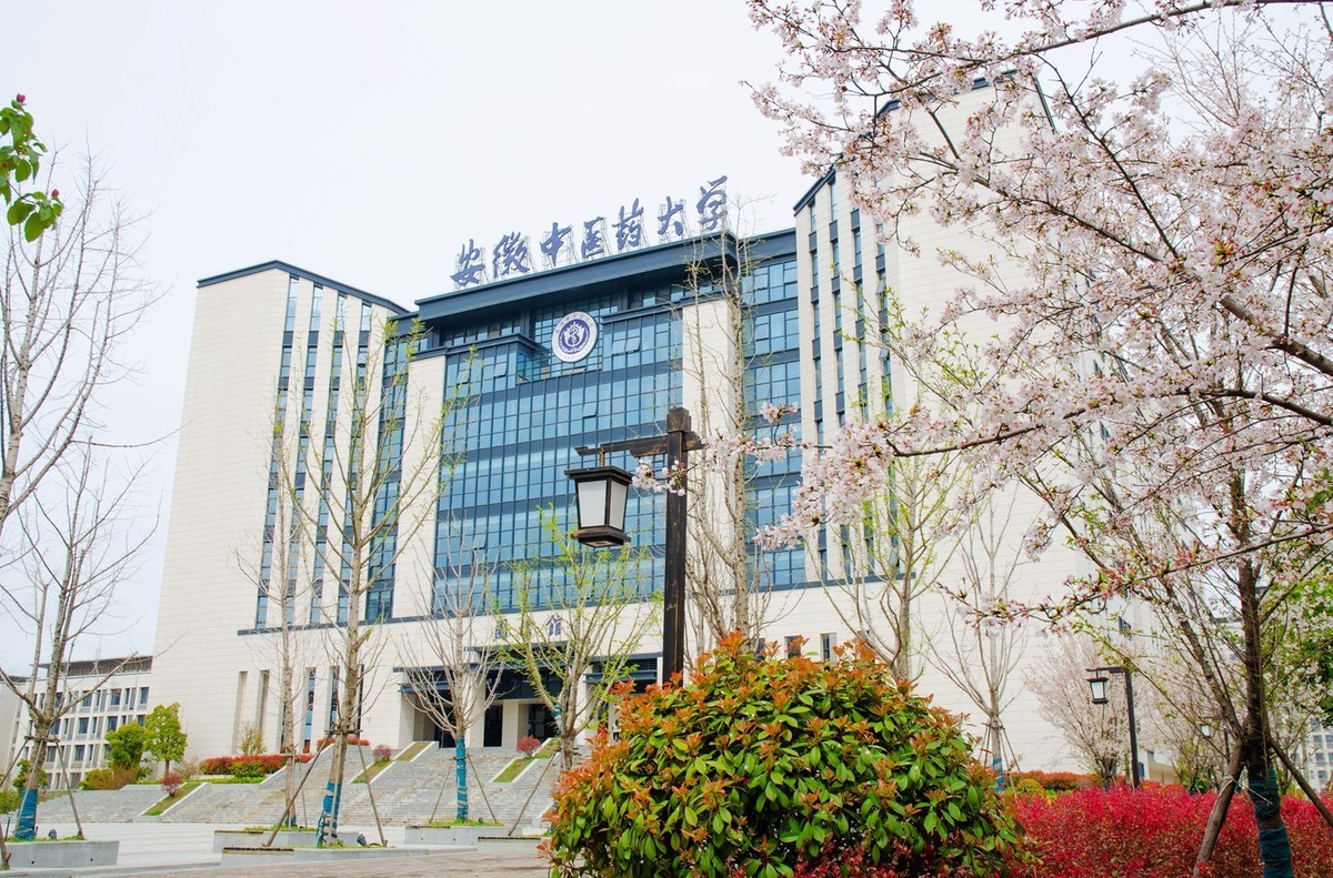 春分时节的校园