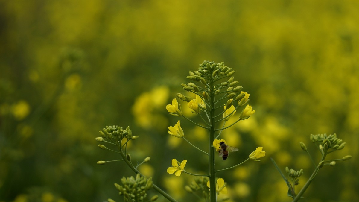 石潭湖山岭随拍