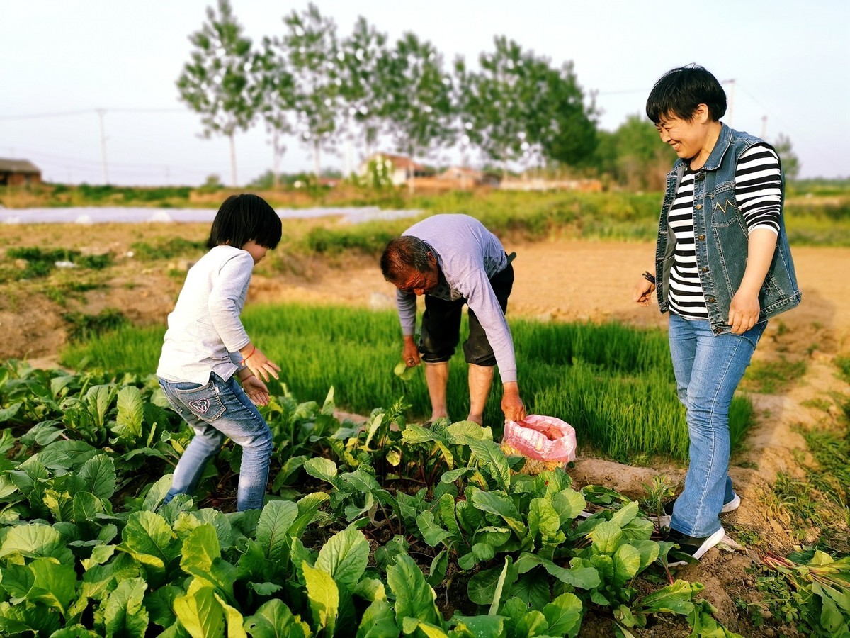 父爱如山之背影