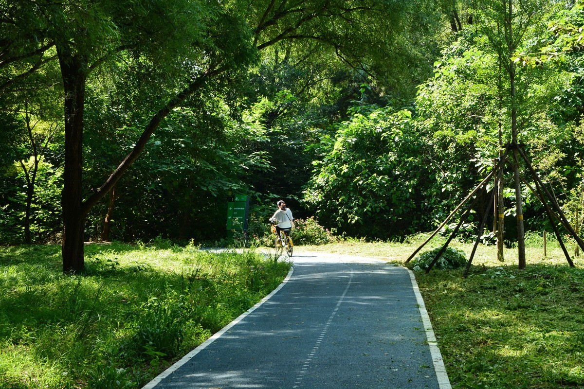 2023-135  东小口森林绿道