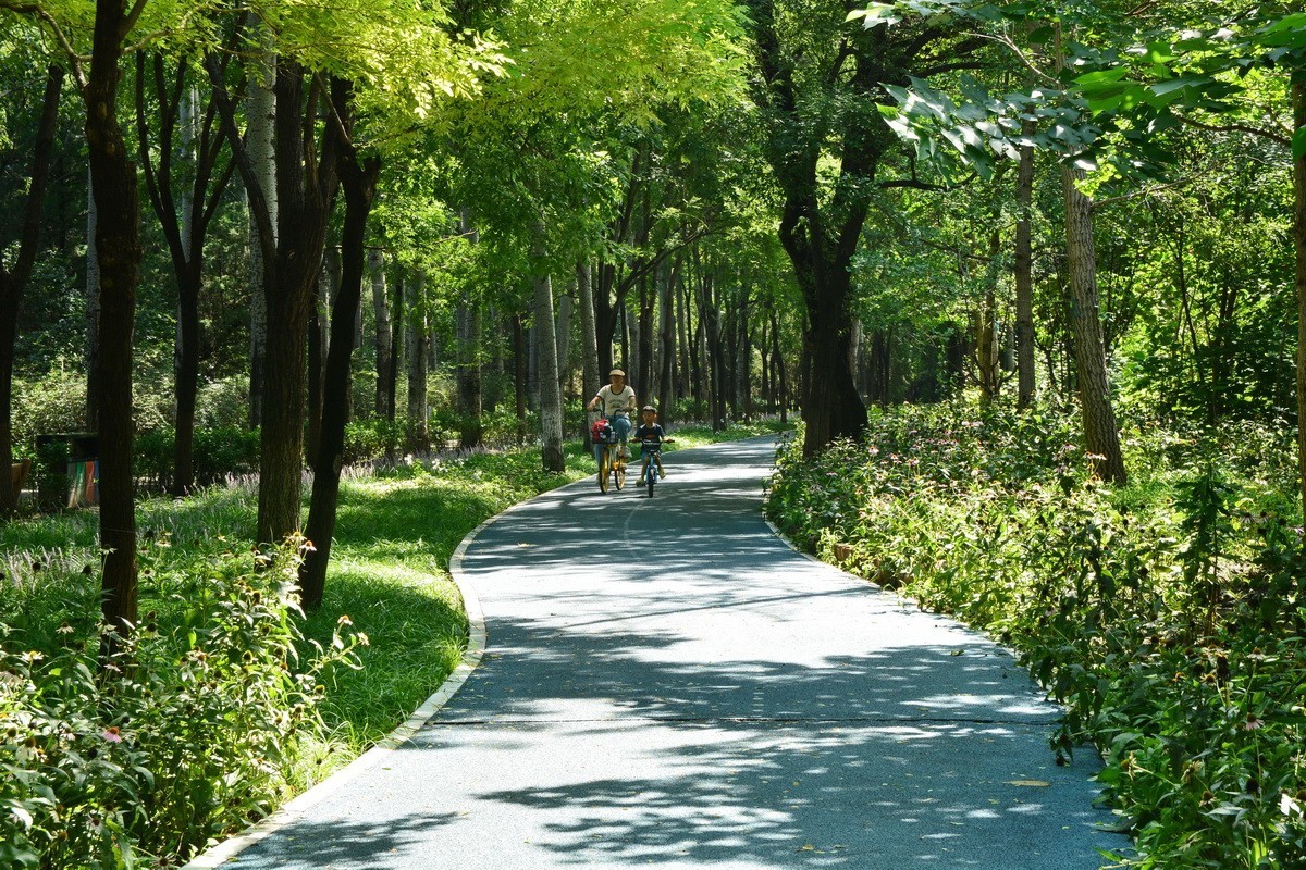 2023-135  东小口森林绿道