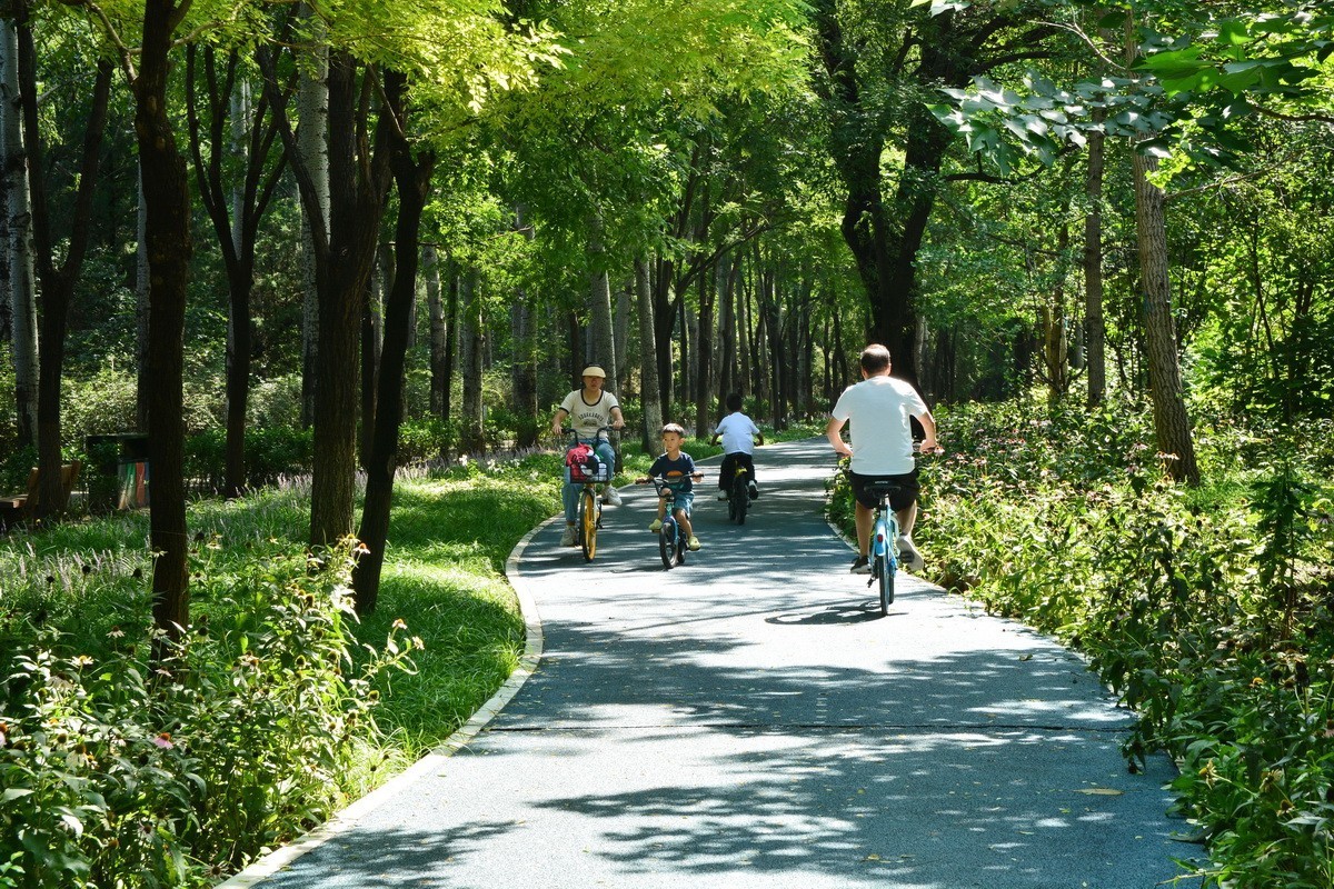 2023-135  东小口森林绿道