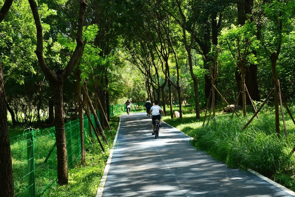 2023-135  东小口森林绿道