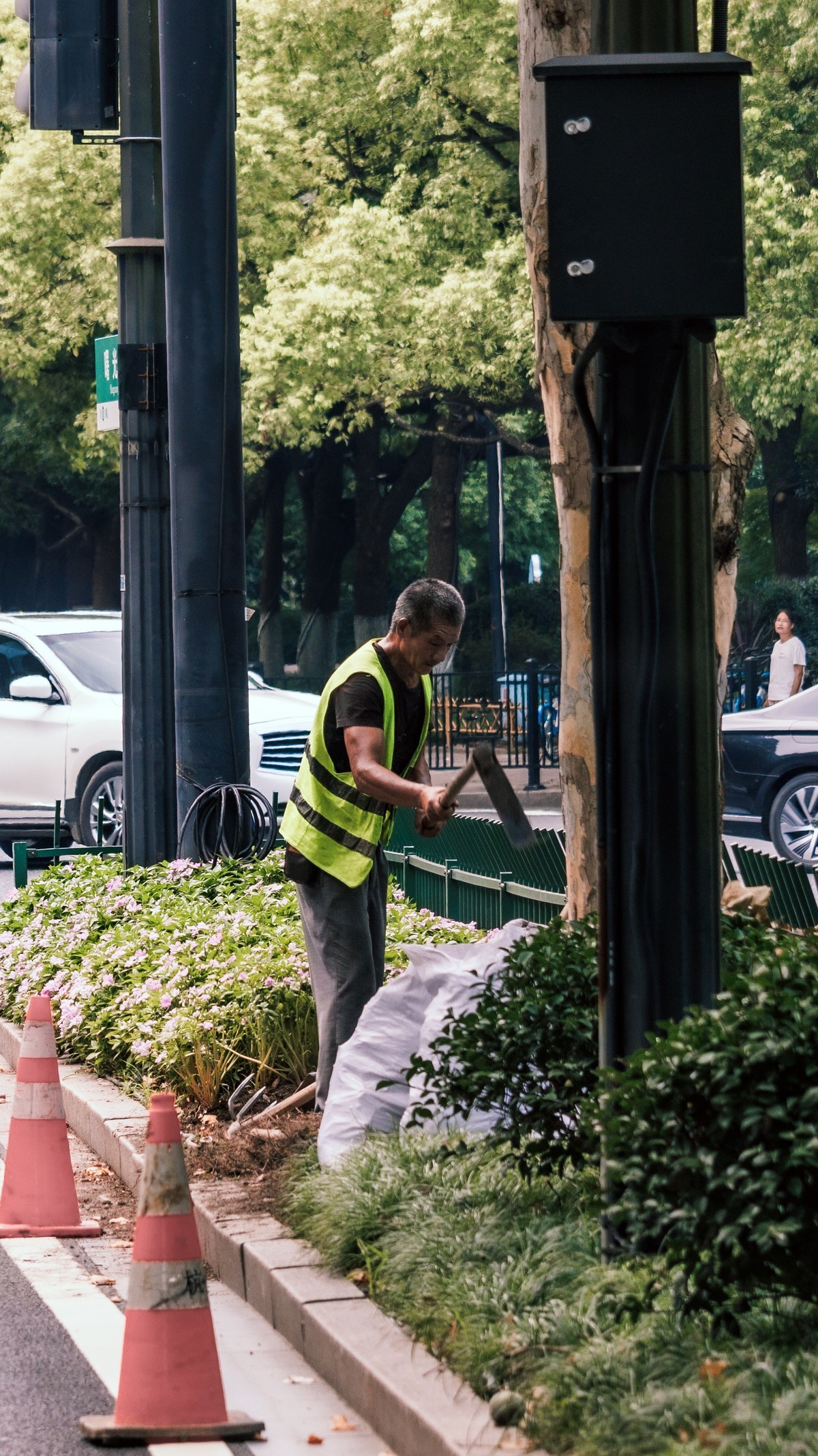 登上北高峰一揽杭城景