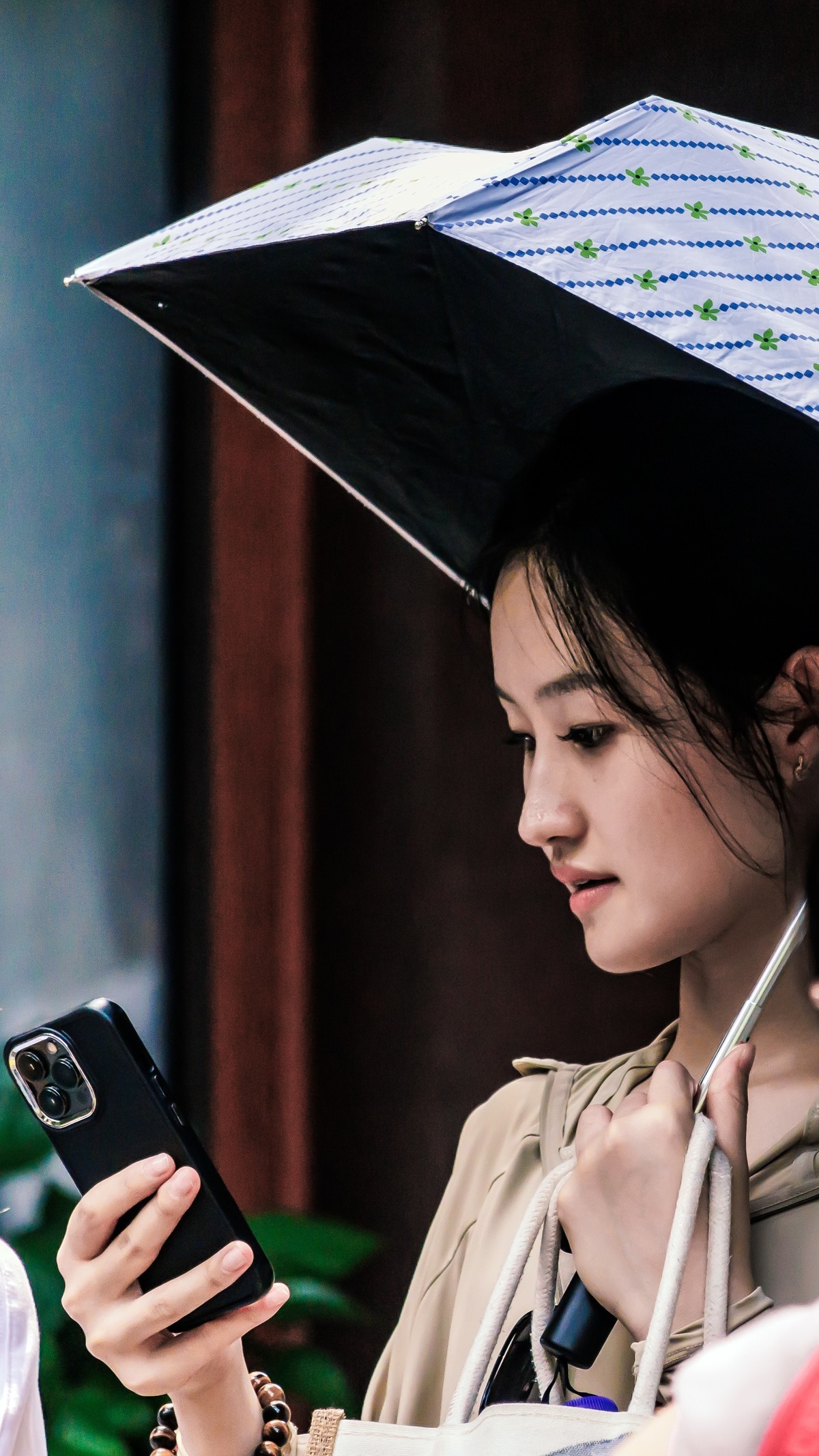 登上北高峰一揽杭城景