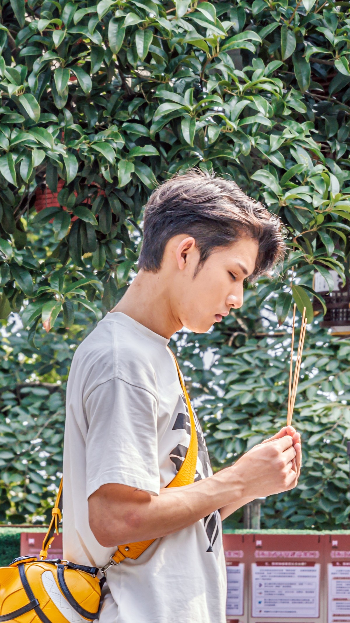 登上北高峰一揽杭城景