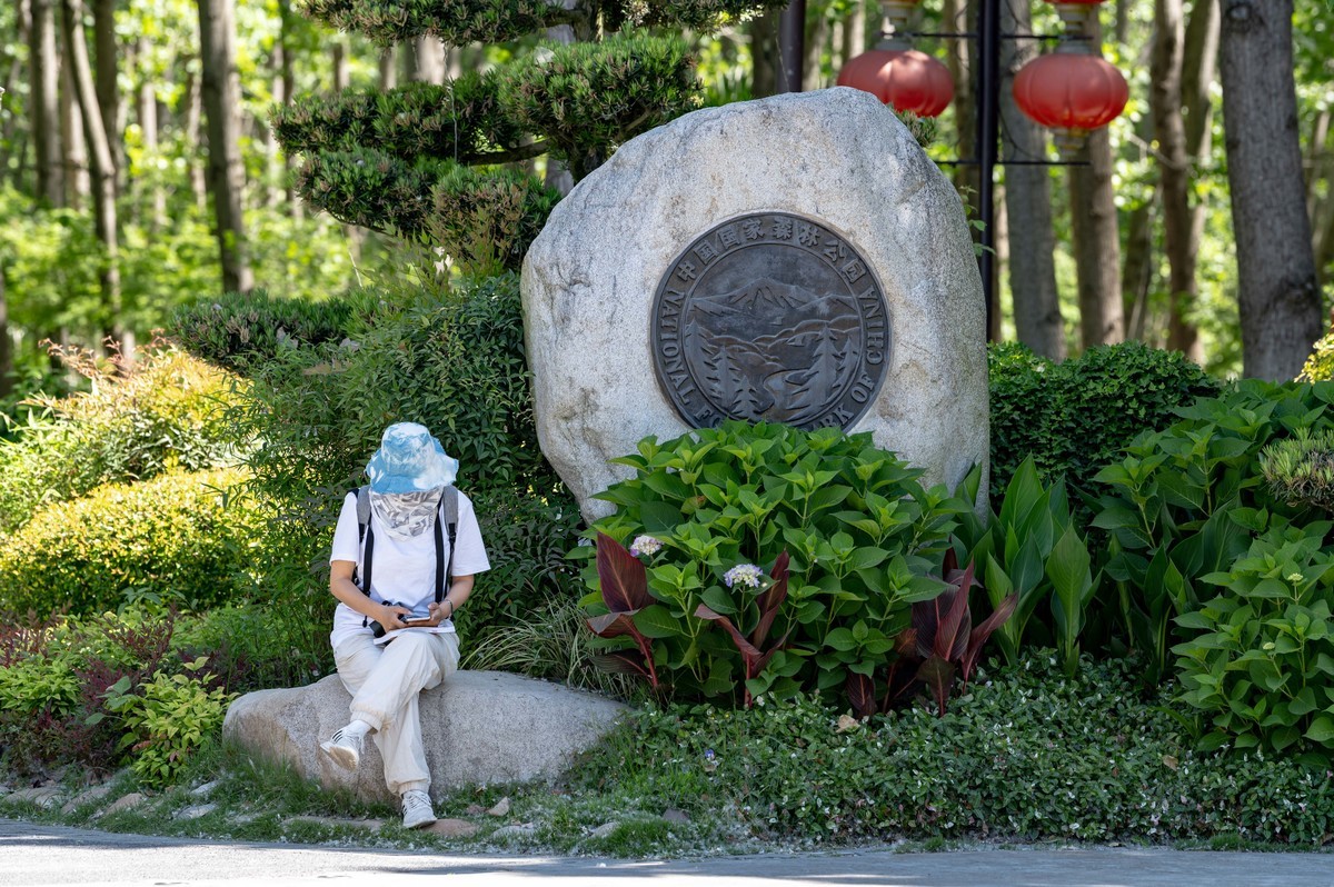 庐州印象（338）