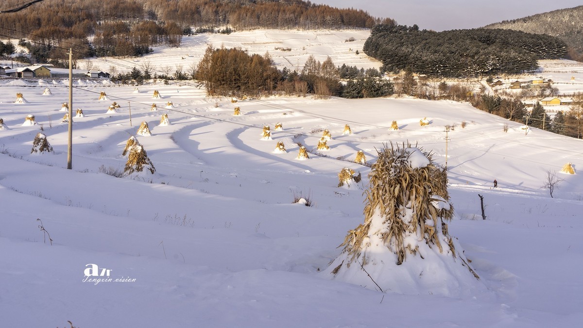 松岭雪村（14）