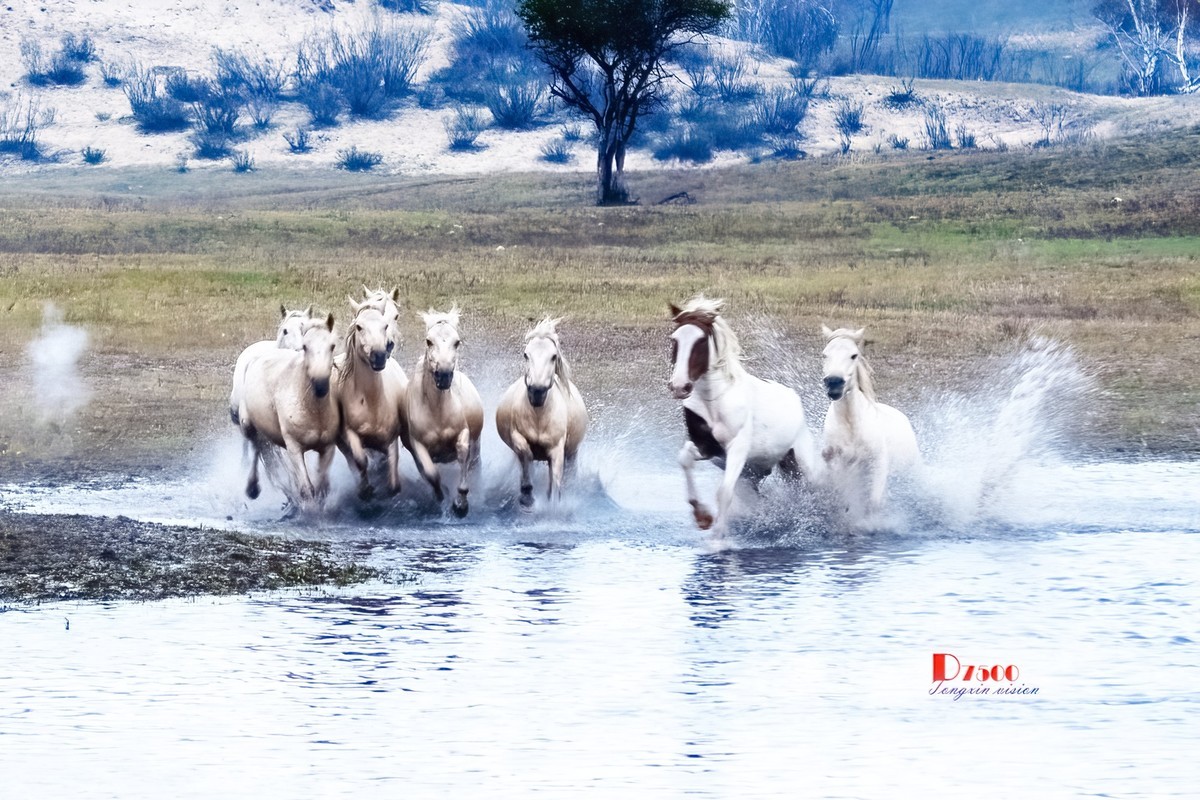 慢门 飞马踏水（3）