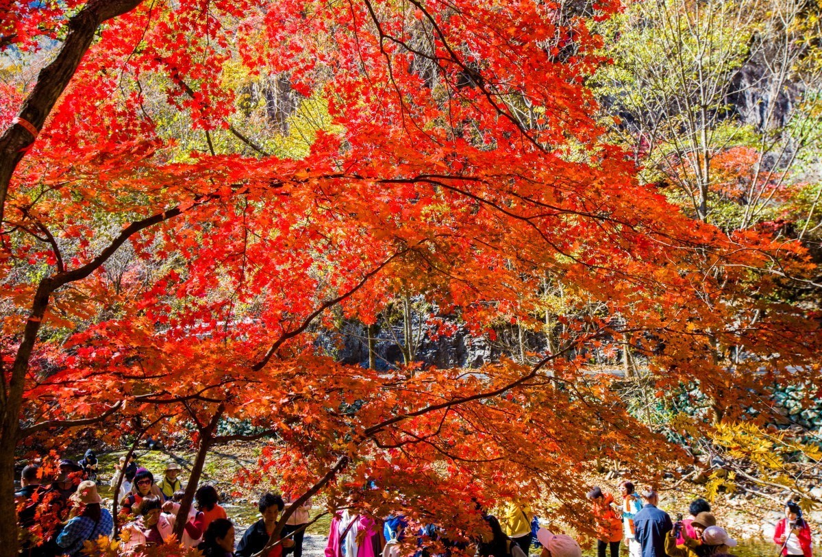 外出随拍（续255）.