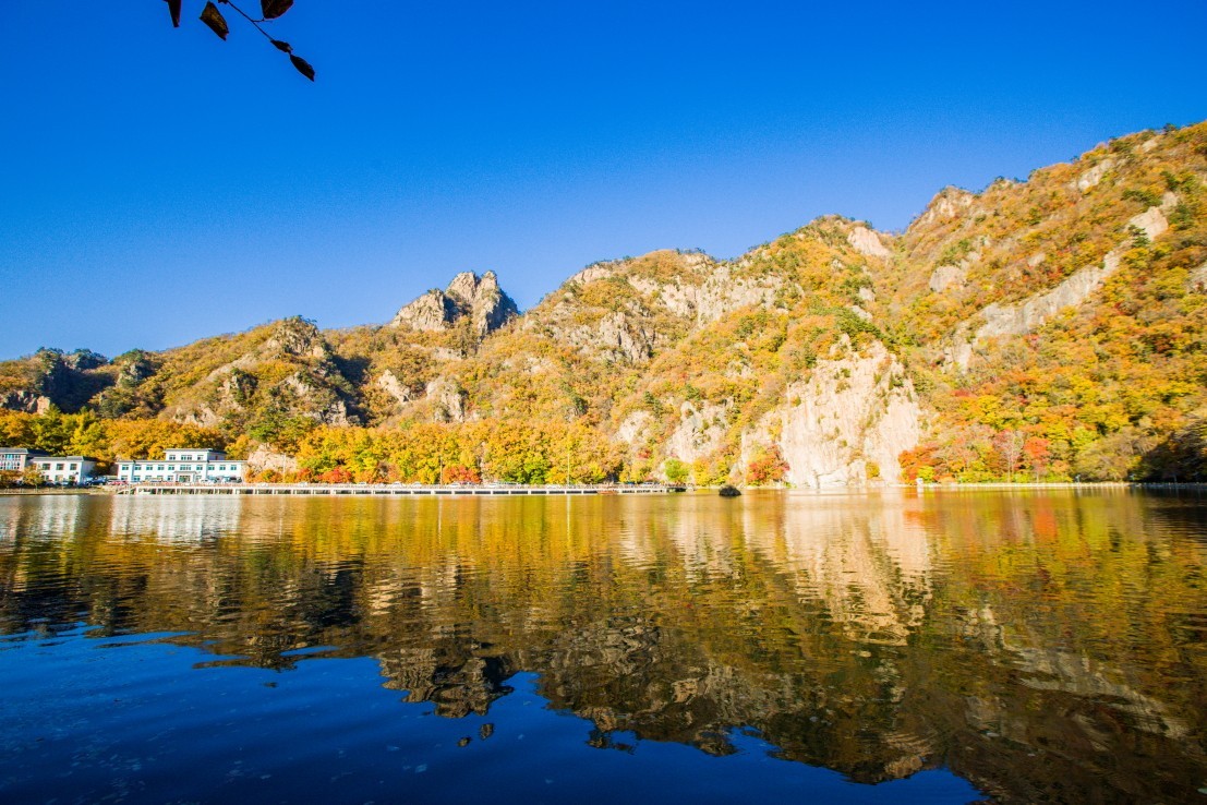 外出随拍（续255）.