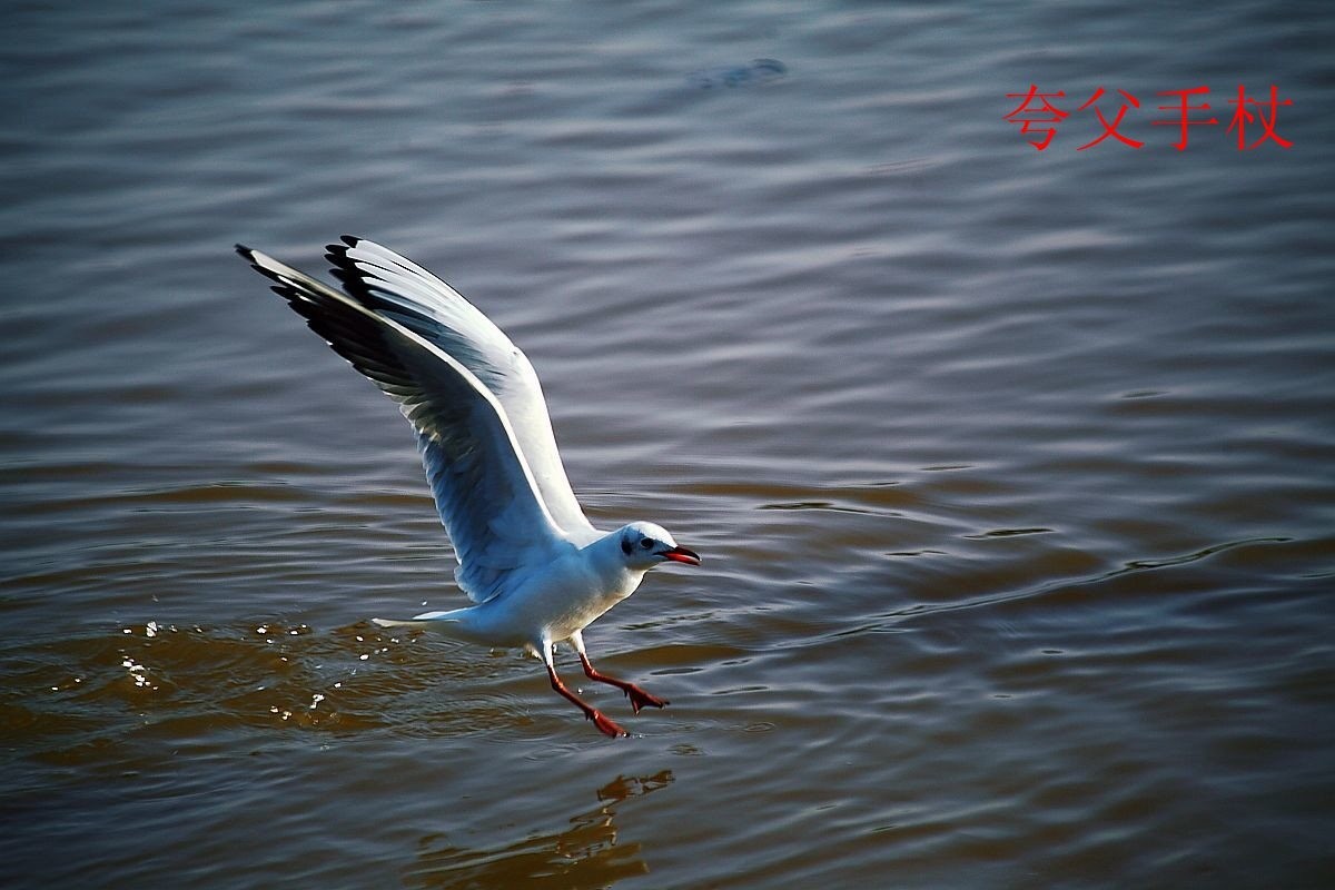 25年1-3月精华展示贴