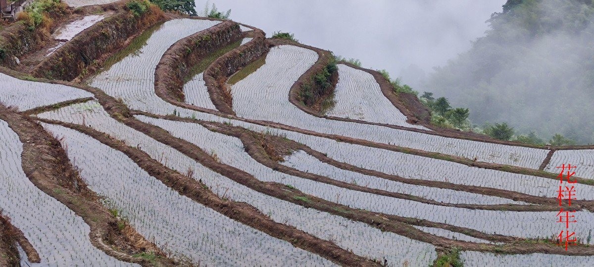 25年1-3月精华展示贴