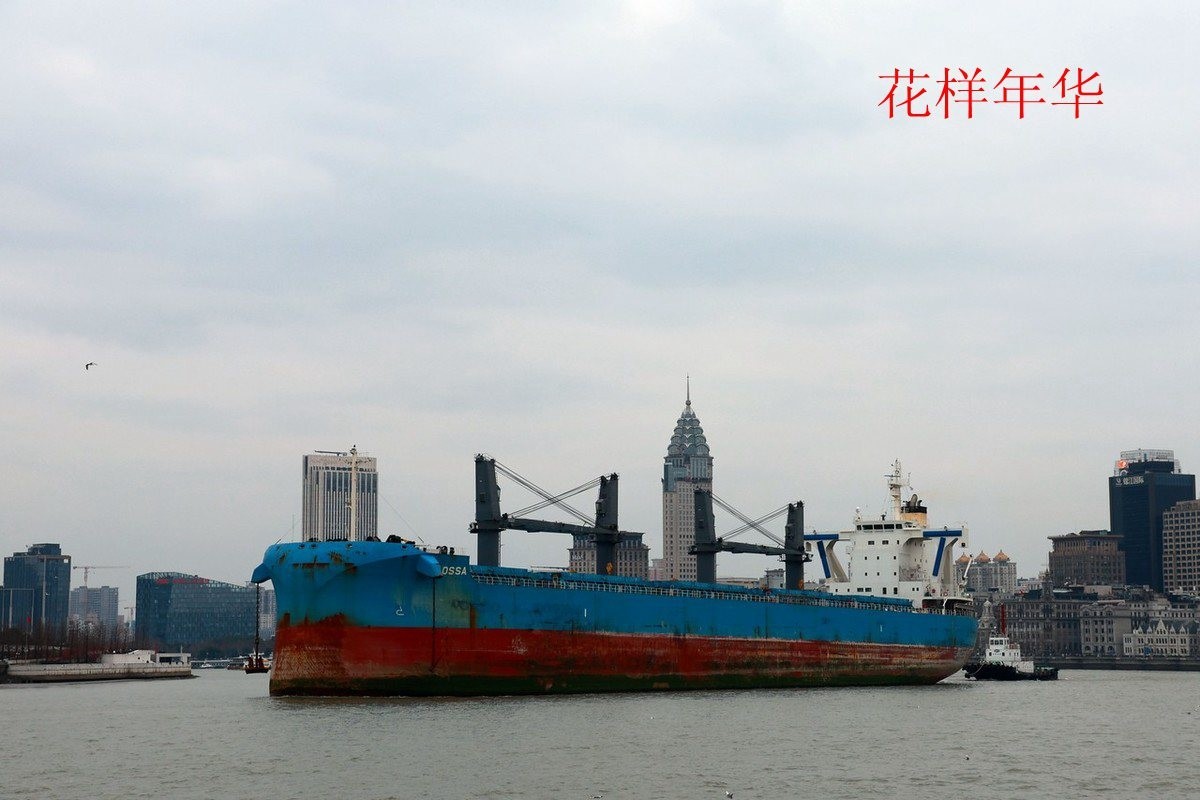 25年1-3月精华展示贴