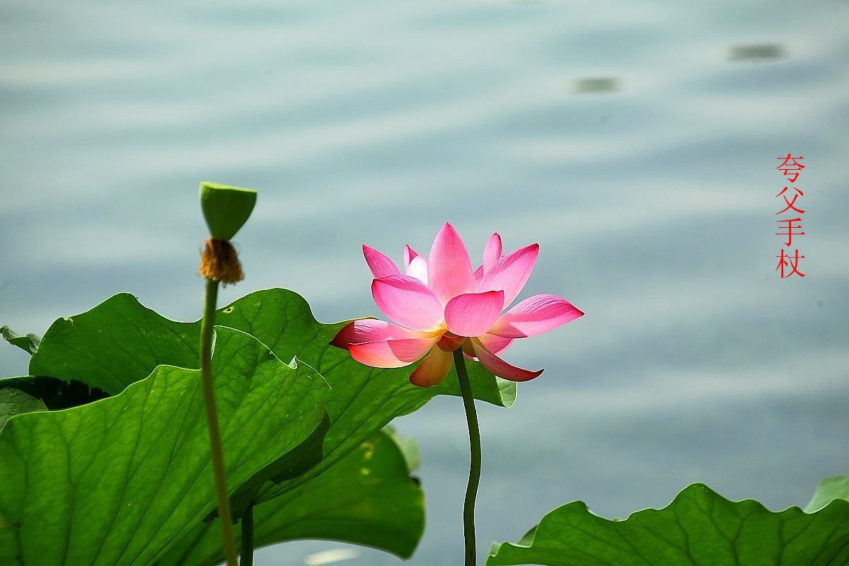 25年1-3月精华展示贴