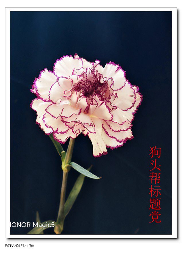 25年1-3月精华展示贴