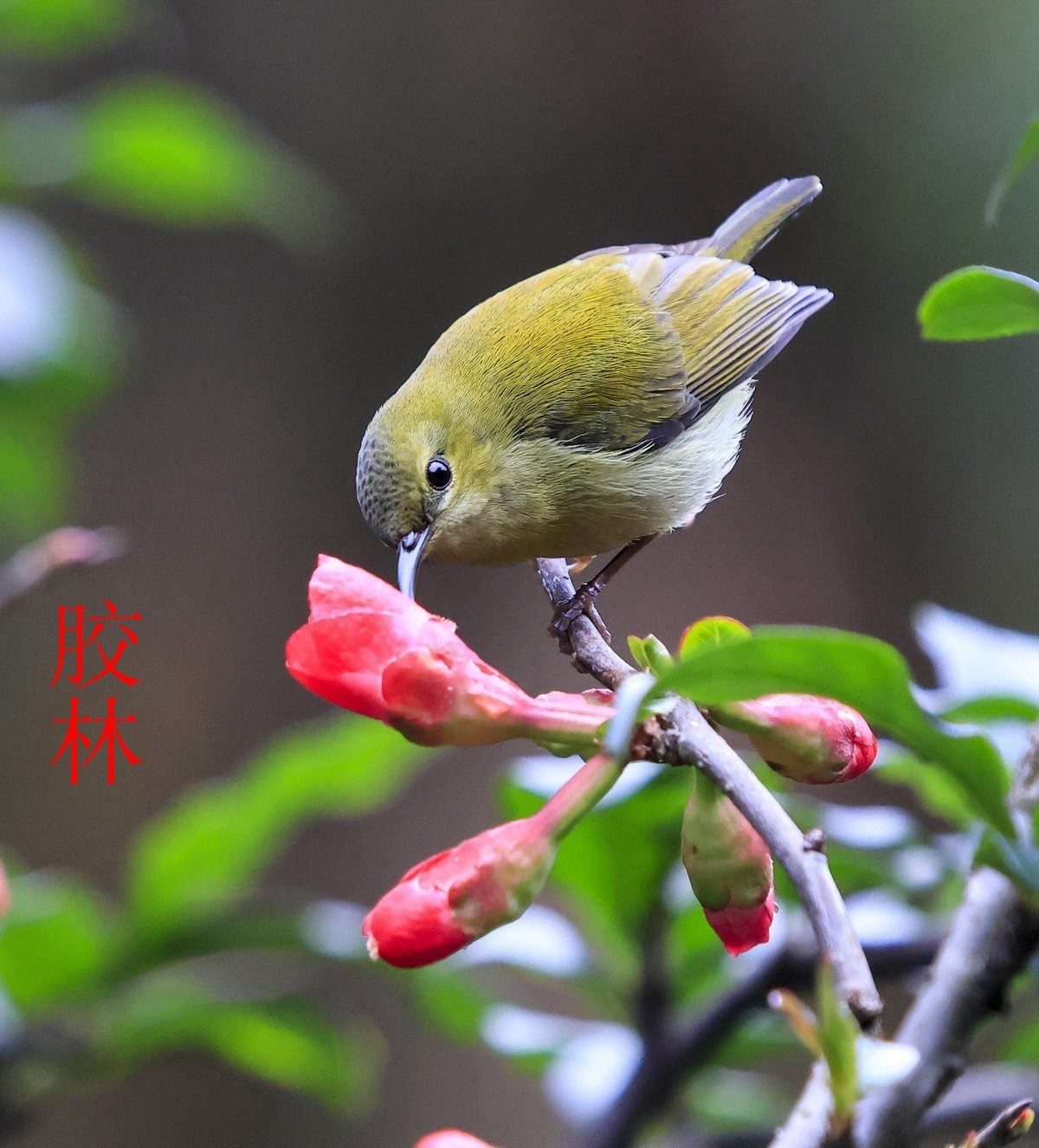 25年1-3月精华展示贴