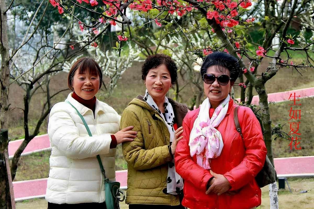 25年1-3月精华展示贴