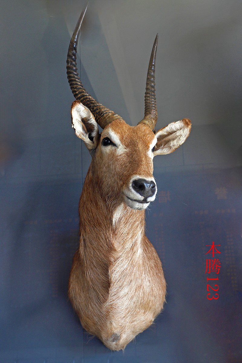 25年1-3月精华展示贴