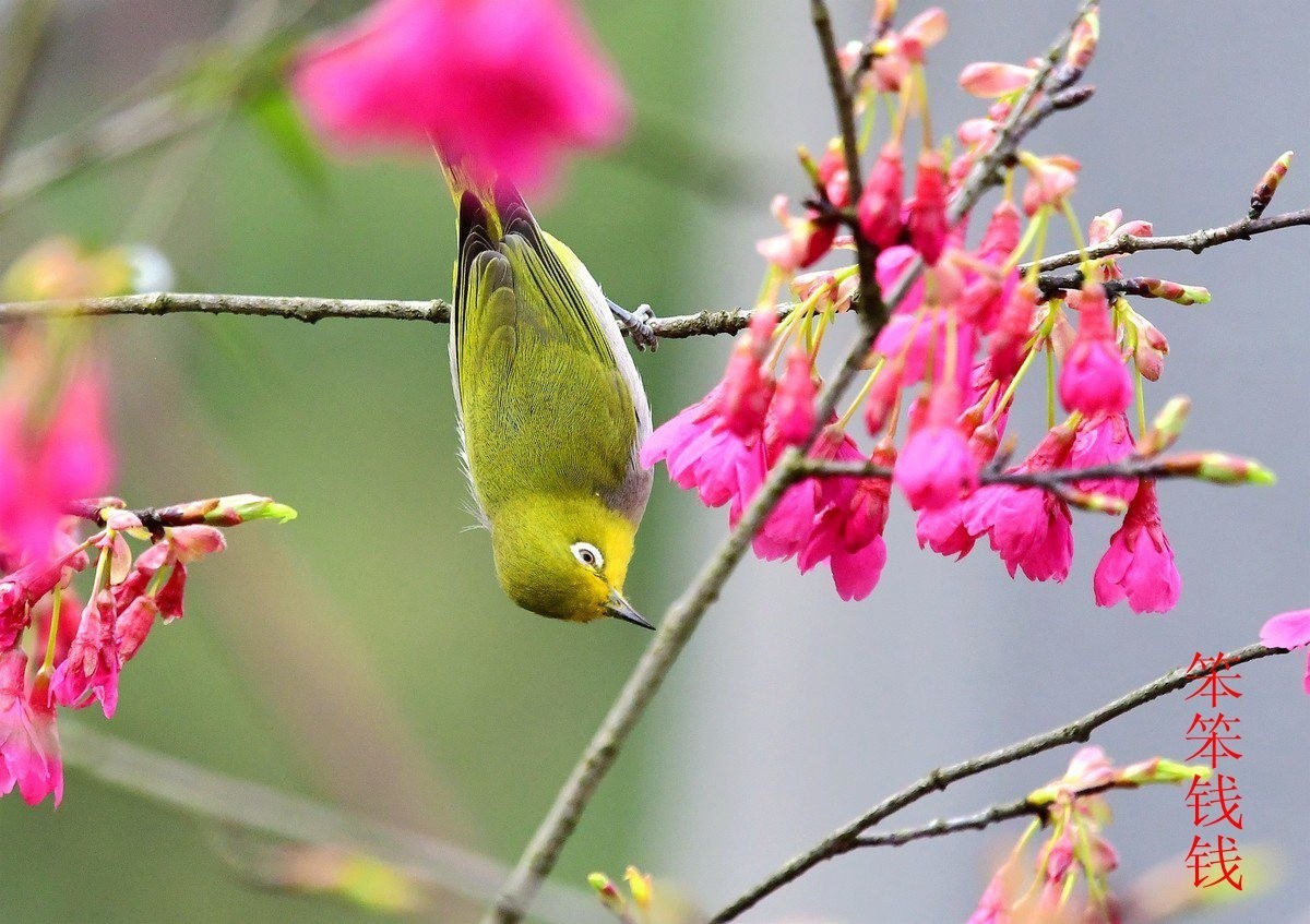 25年1-3月精华展示贴