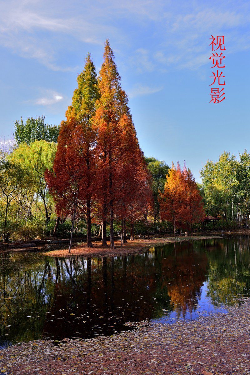 25年1-3月精华展示贴