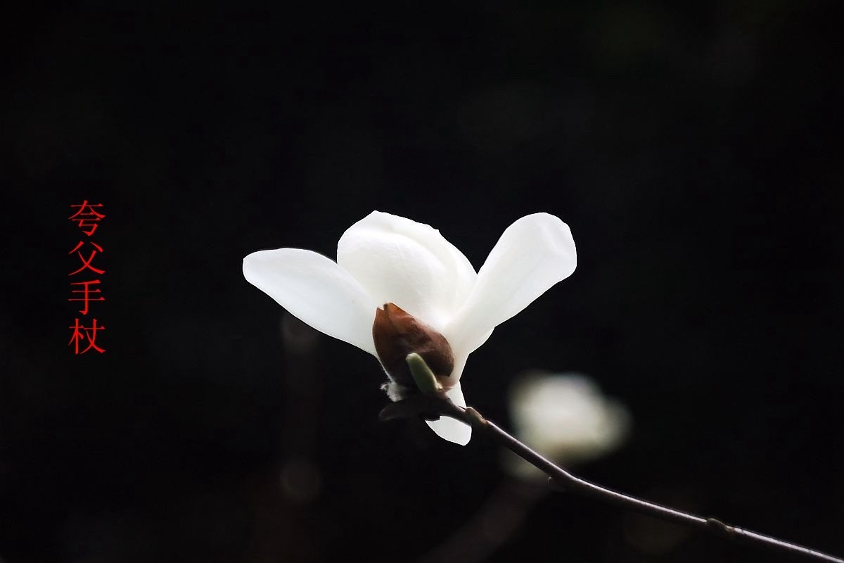 25年1-3月精华展示贴