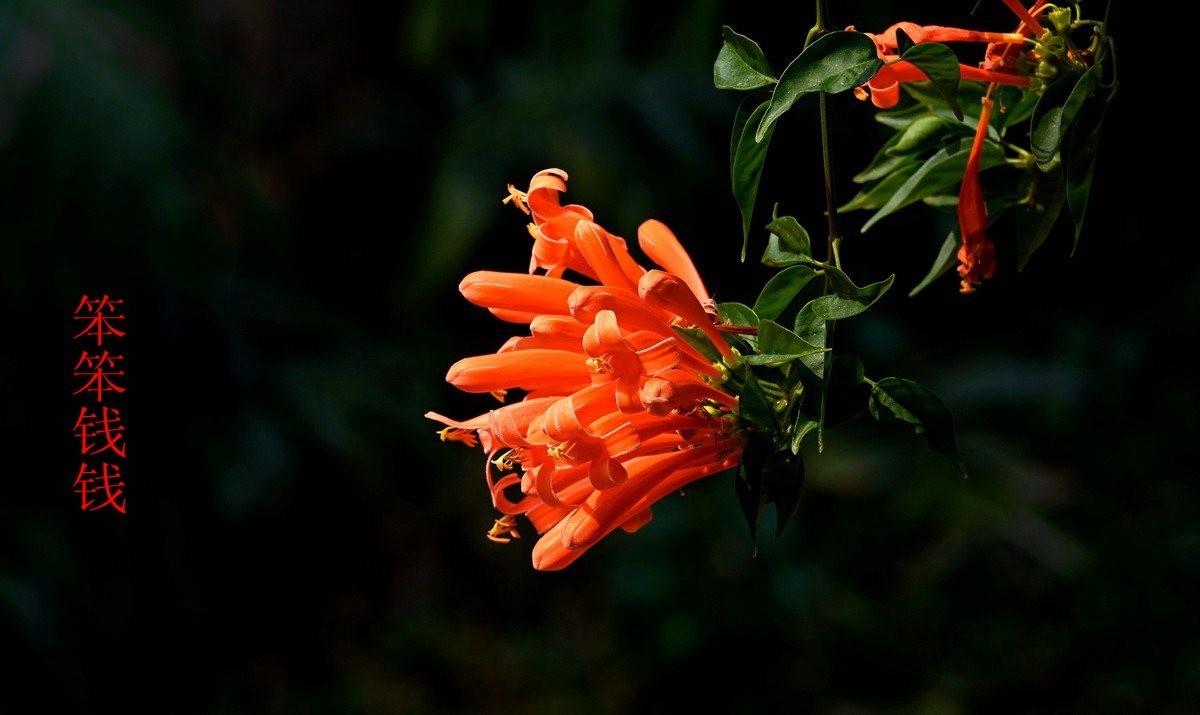 25年1-3月精华展示贴