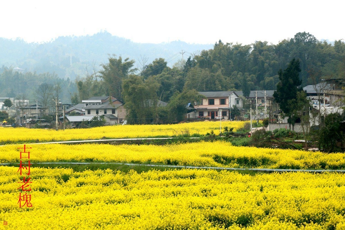 25年1-3月精华展示贴