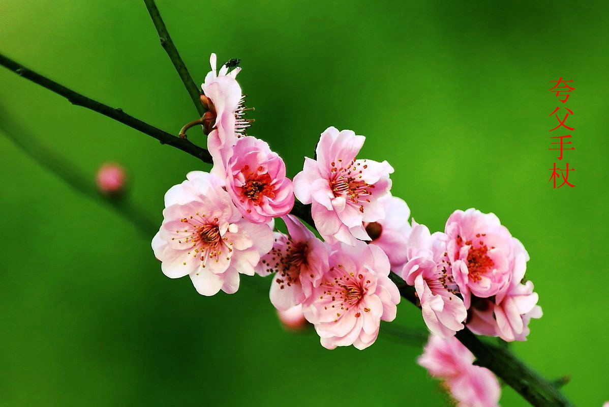 25年1-3月精华展示贴