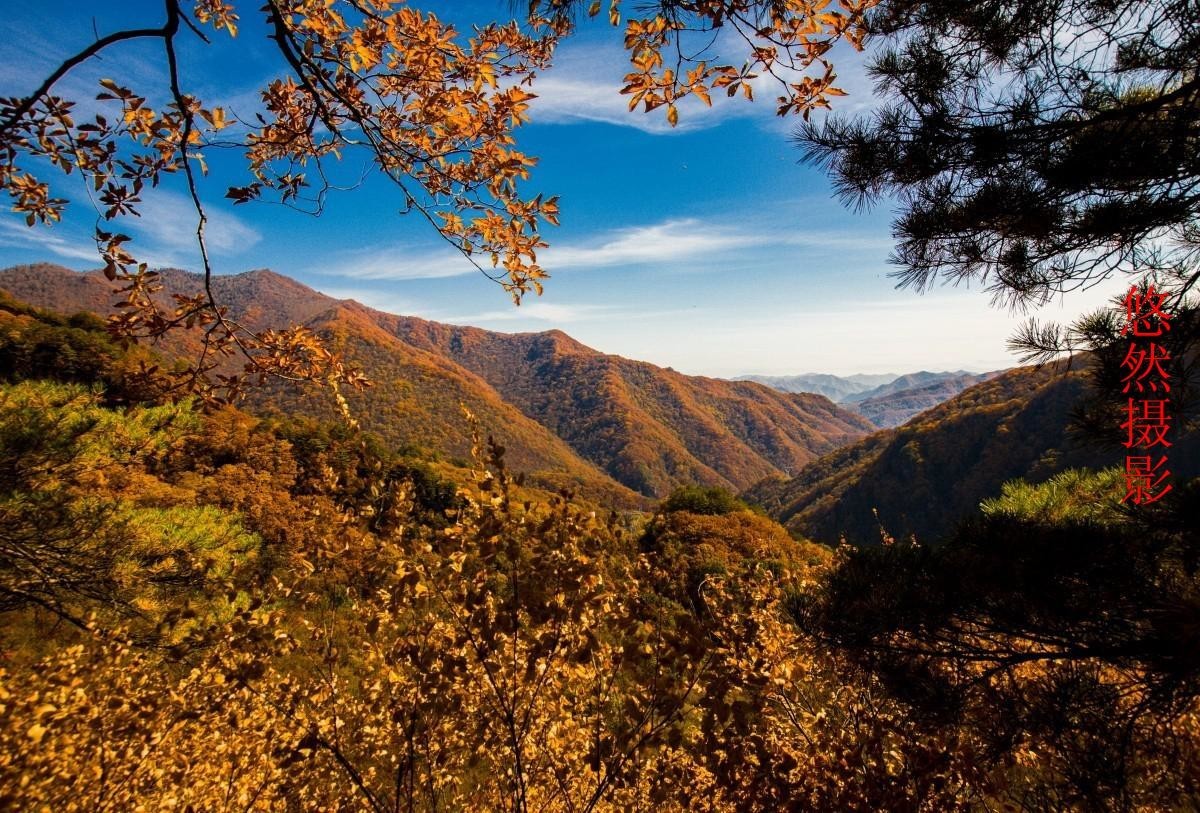 25年1-3月精华展示贴