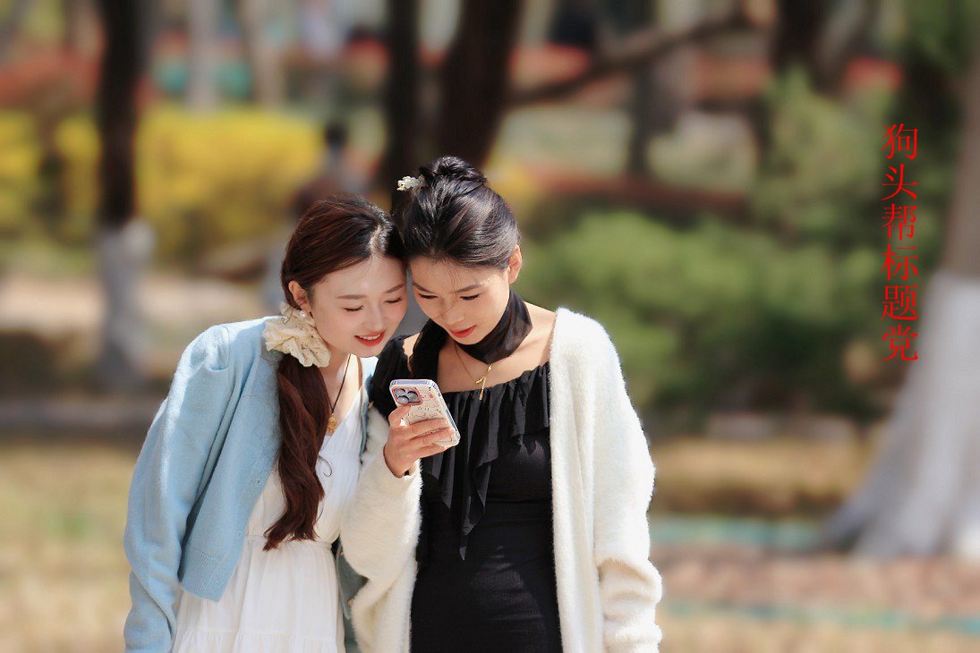 25年1-3月精华展示贴