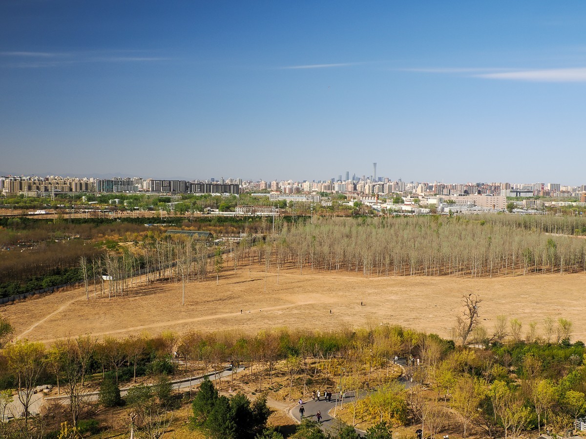 南苑森林湿地公园