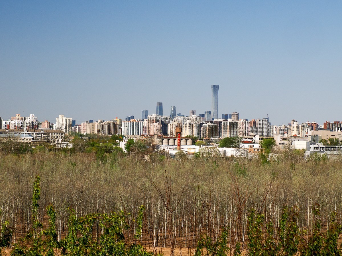 南苑森林湿地公园