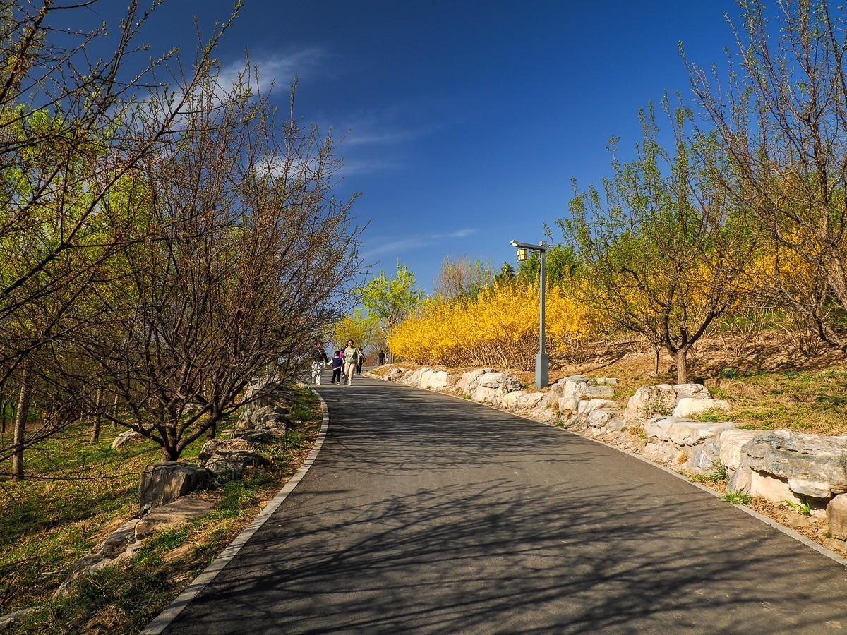 南苑森林湿地公园