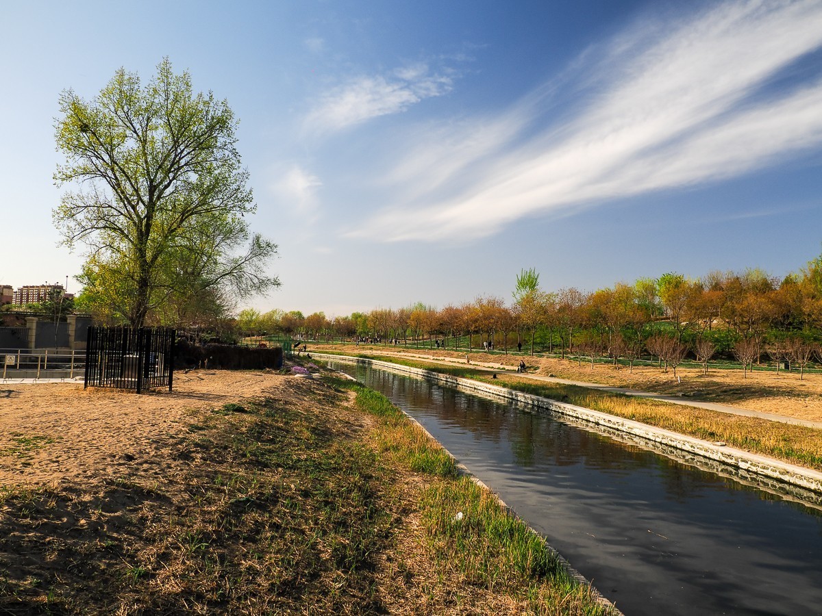 南苑森林湿地公园