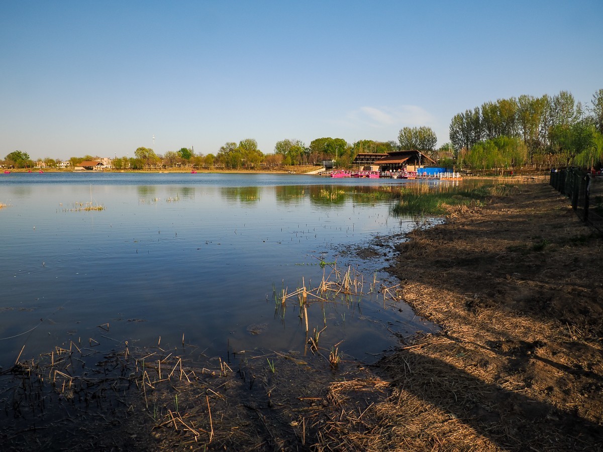 南苑森林湿地公园