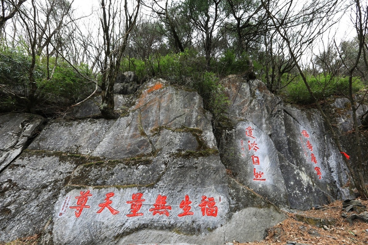 我只是把出去看到的随手记录下来（118）