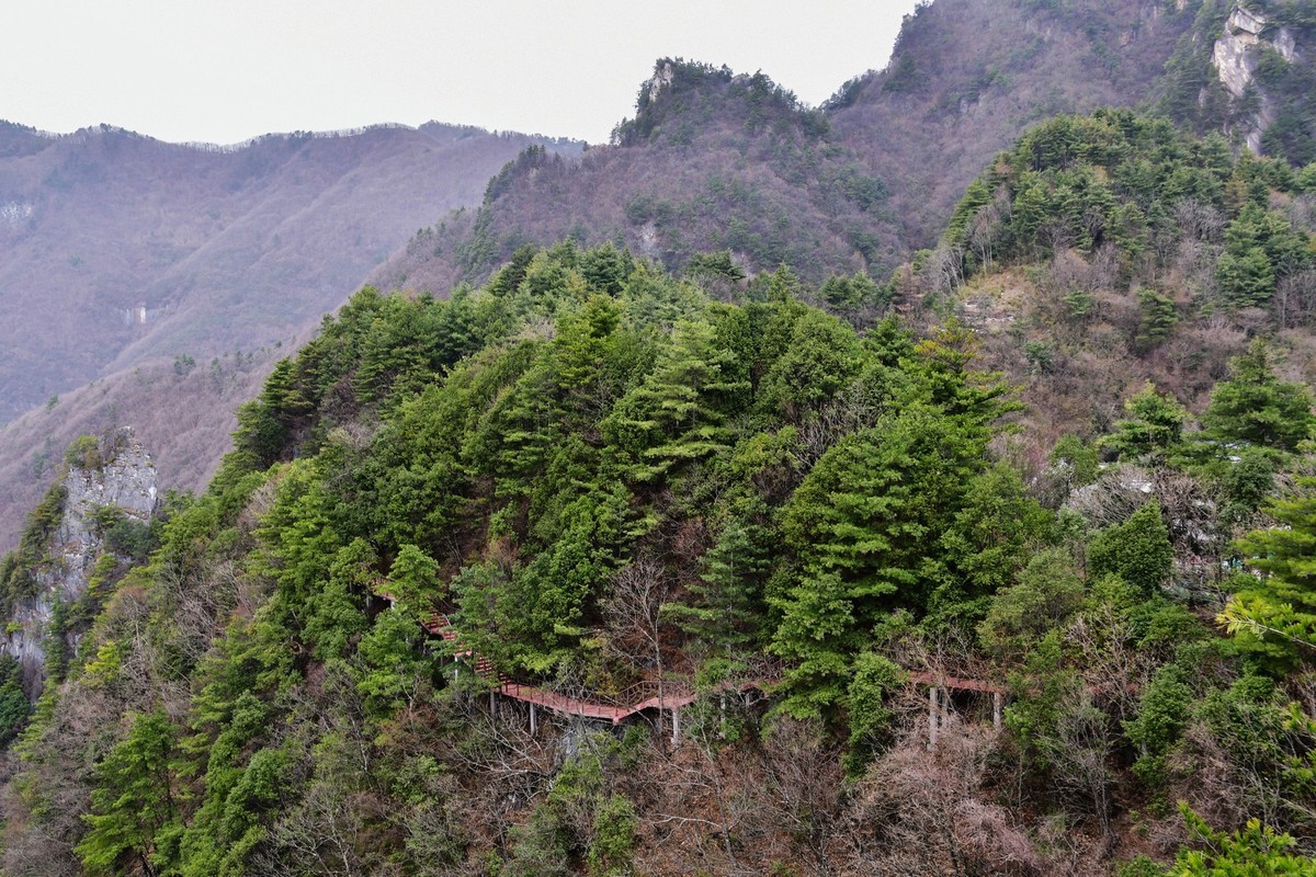 我只是把出去看到的随手记录下来（118）