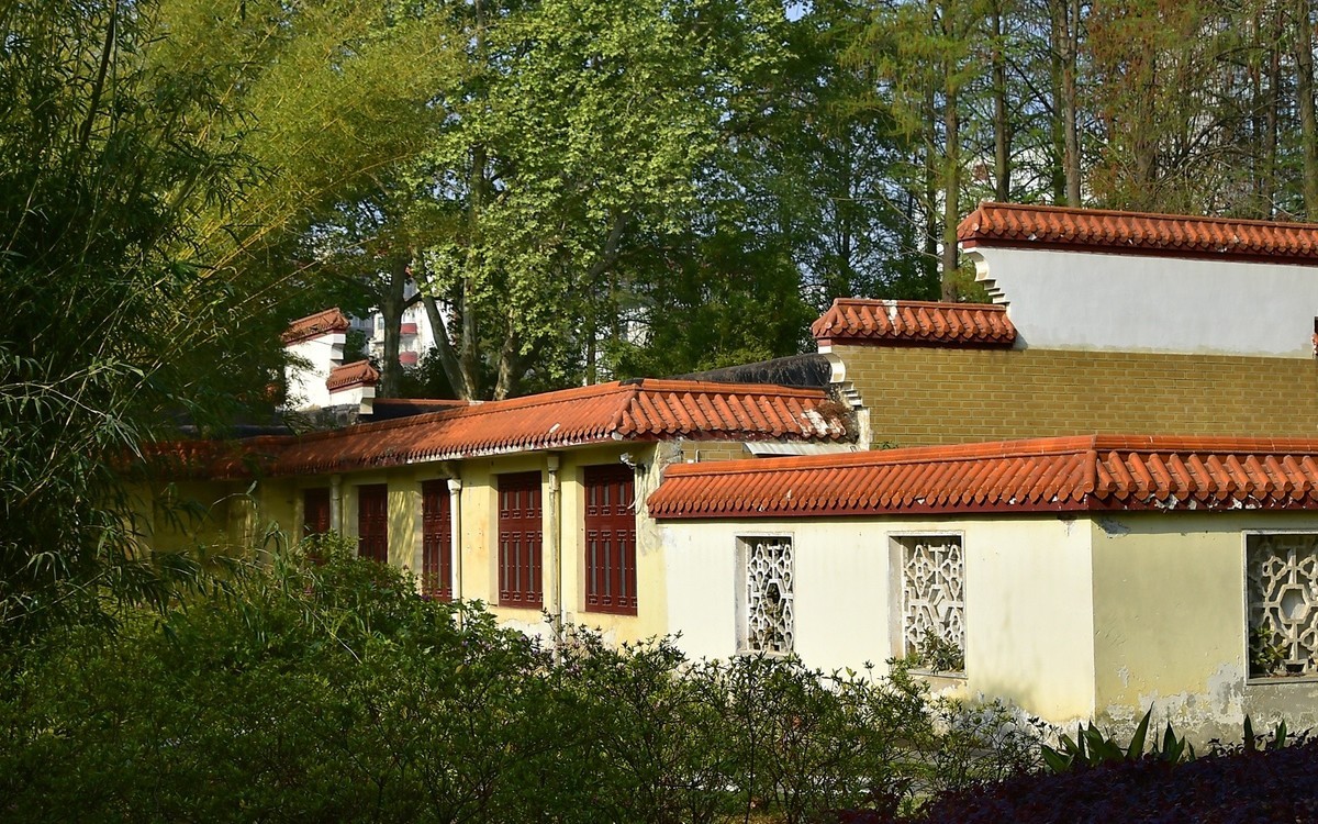 拍在春天  青山公园