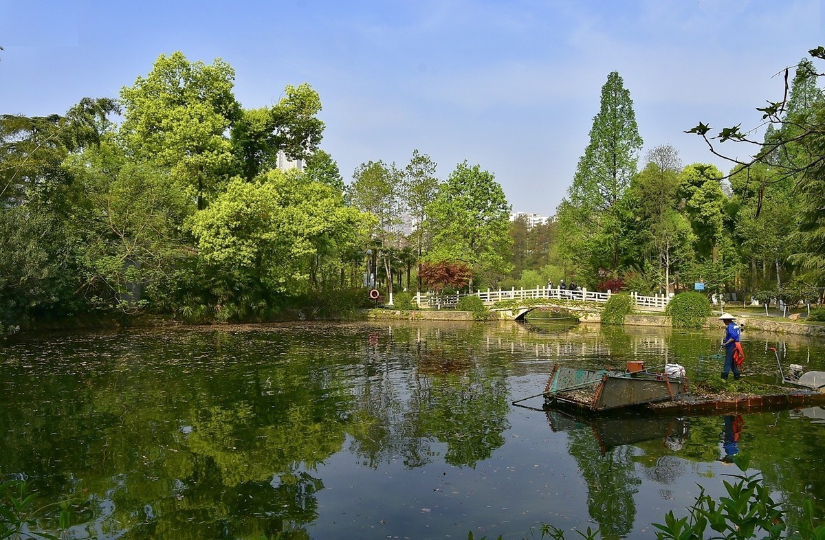 拍在春天  青山公园
