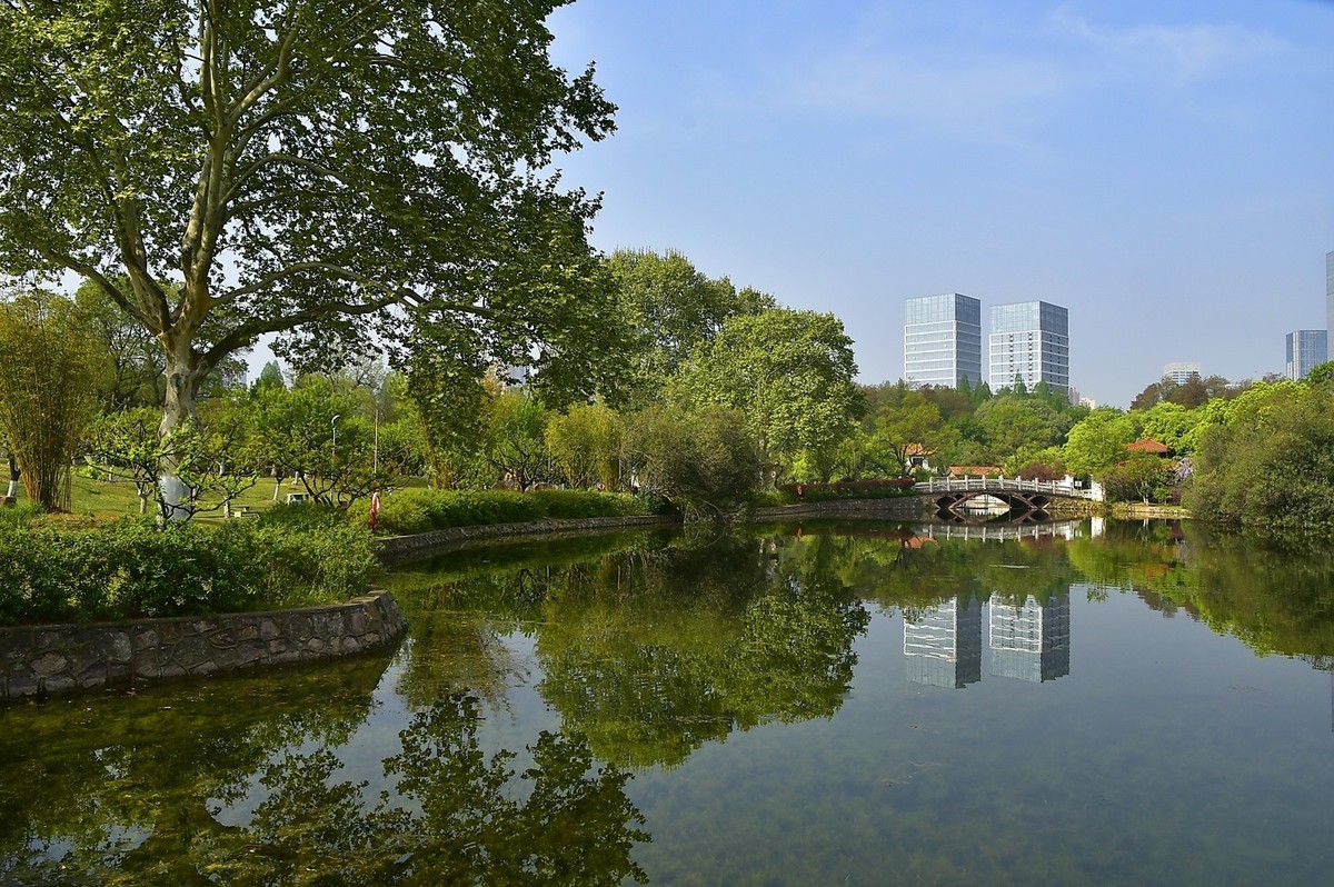 拍在春天  青山公园