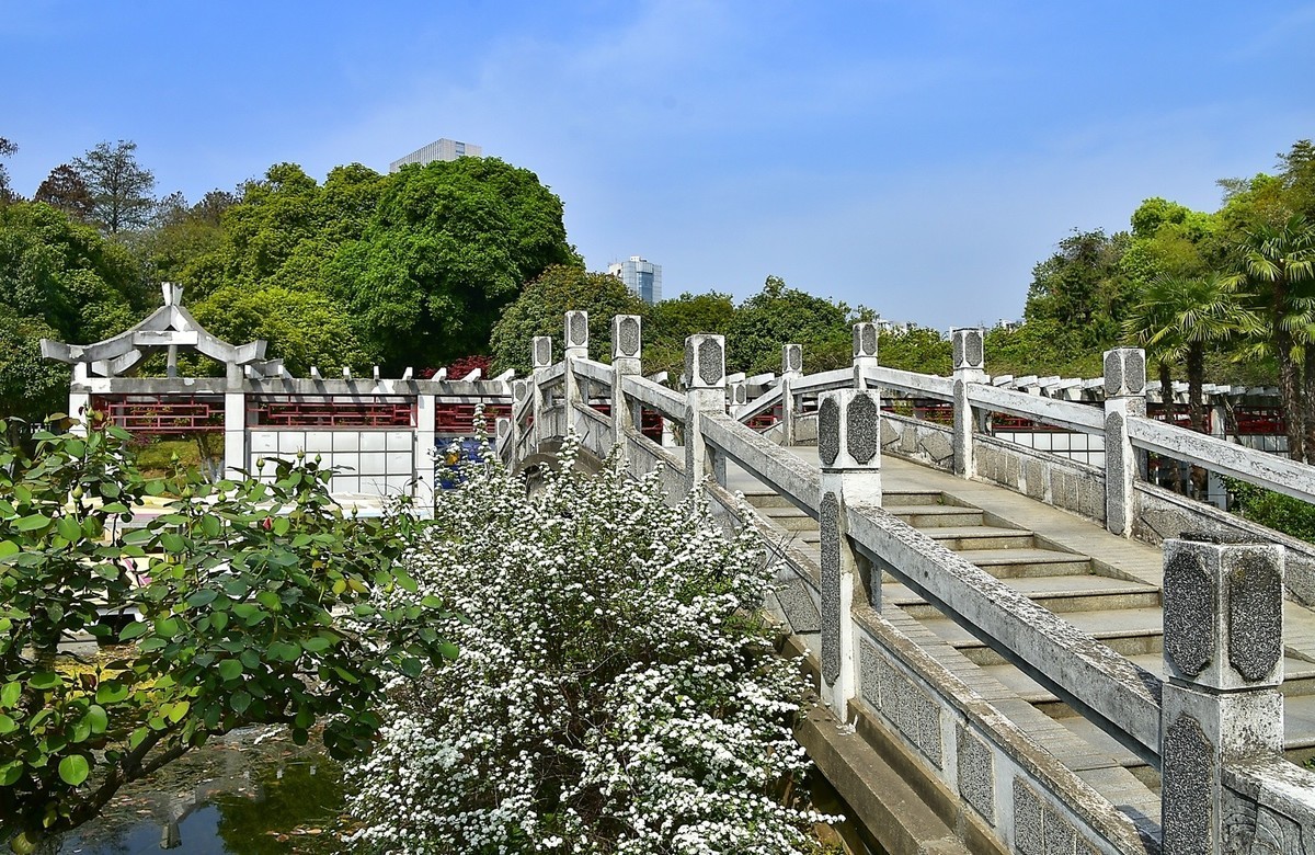 拍在春天  青山公园
