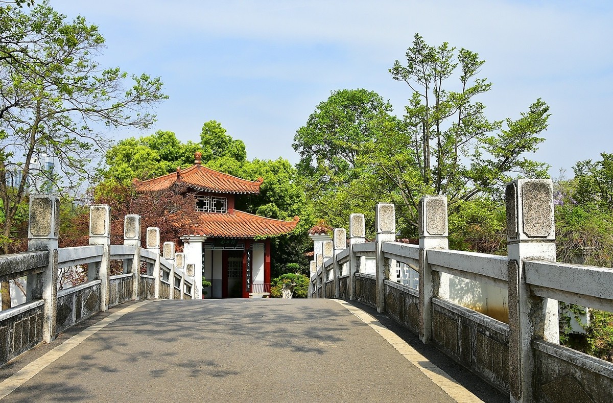 拍在春天  青山公园