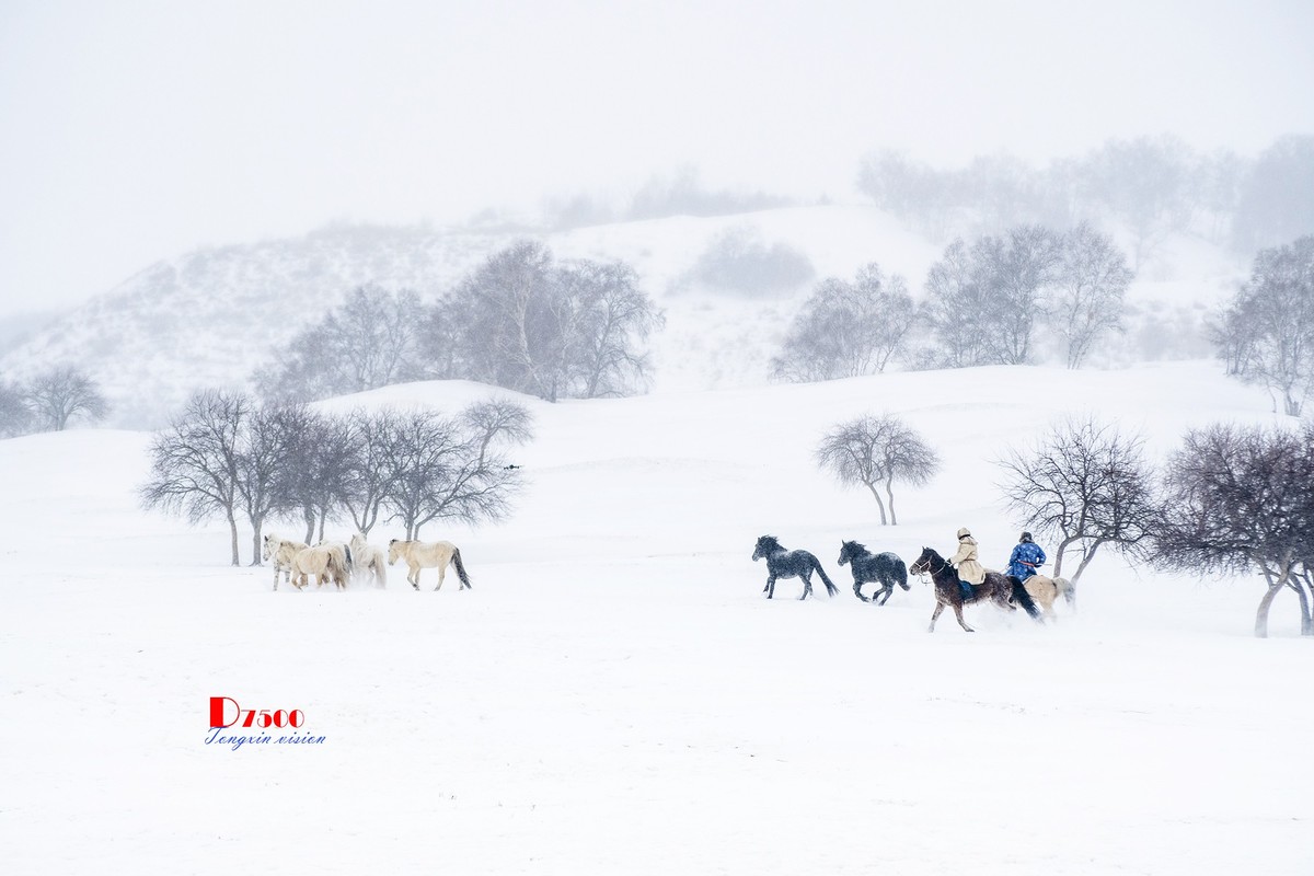 策马奔腾（42）