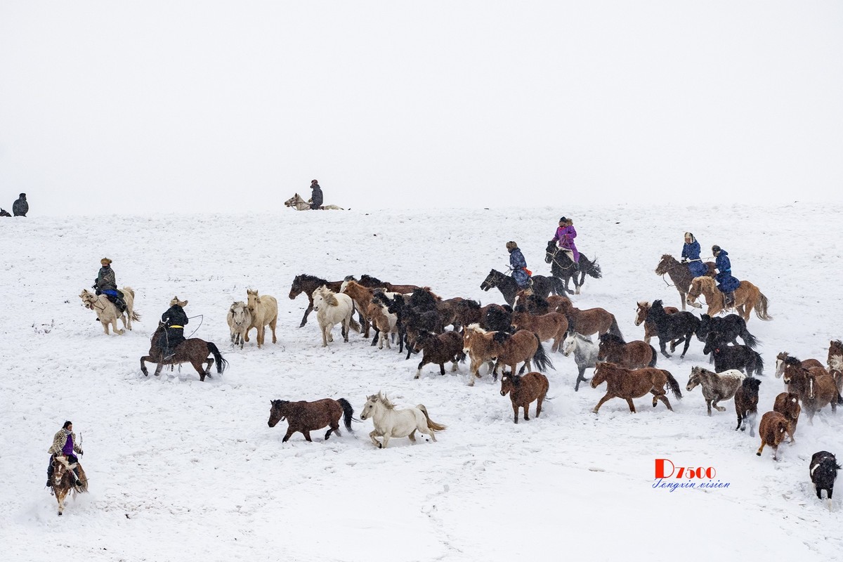 策马奔腾（42）