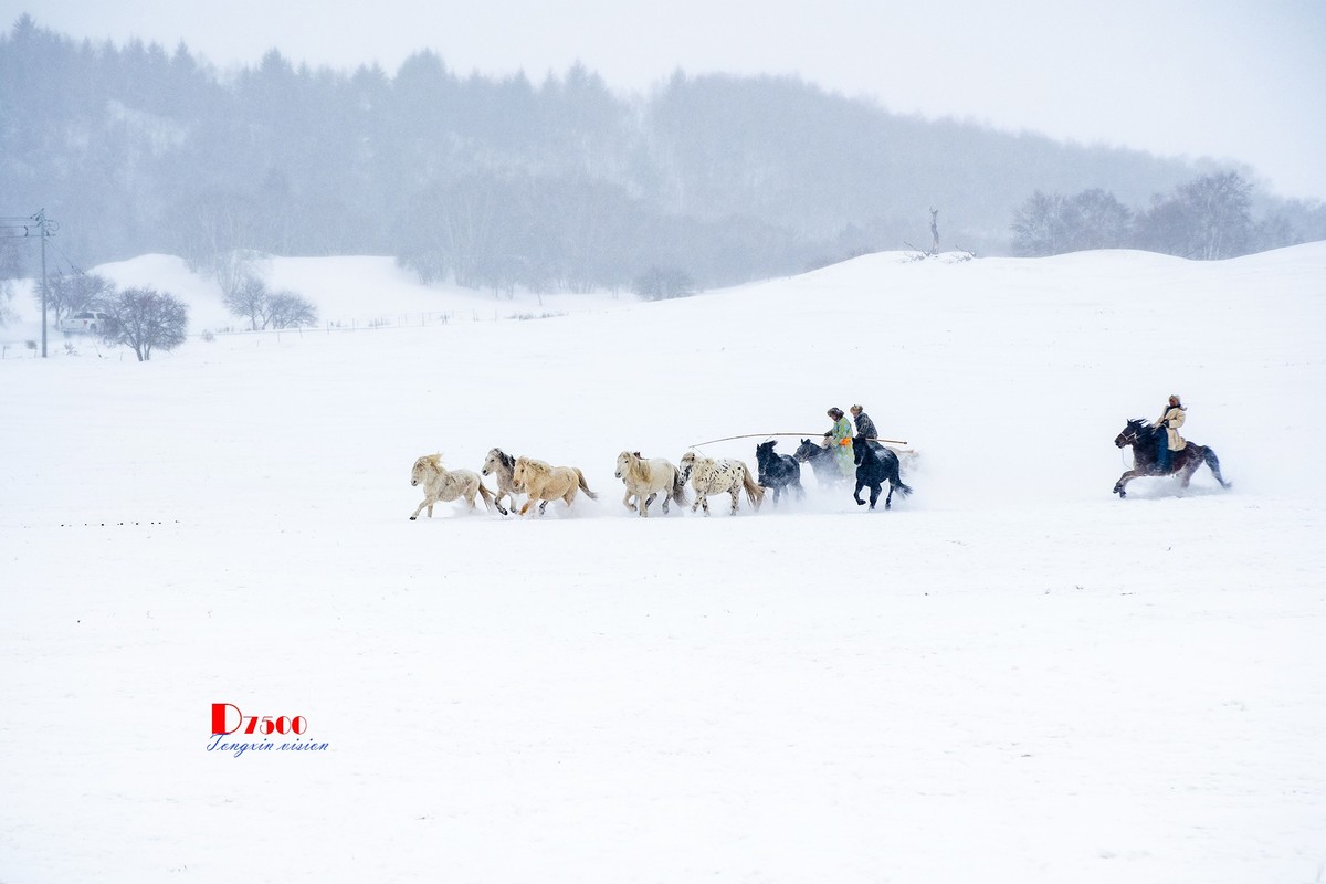 策马奔腾（42）